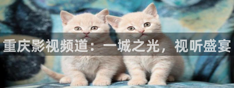红桃影视1