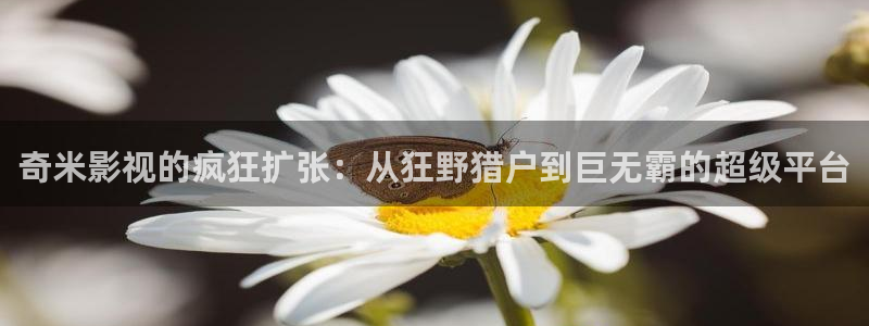 红桃视频.comwww.：奇米影视的疯狂扩张：从狂野猎户到巨无霸的超级平台