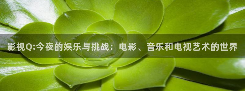 www.红桃影院：影视Q:今夜的娱乐与挑战：电影、音乐和电视艺术的世界