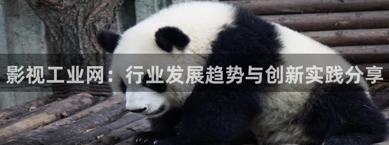 电影红桃影院：影视工业网：行业发展趋势与创新实践分享