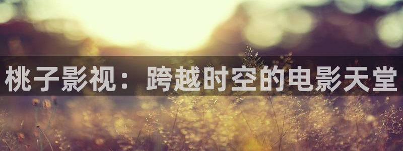 红桃影视免费在线