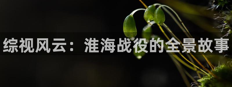 红桃影院入口